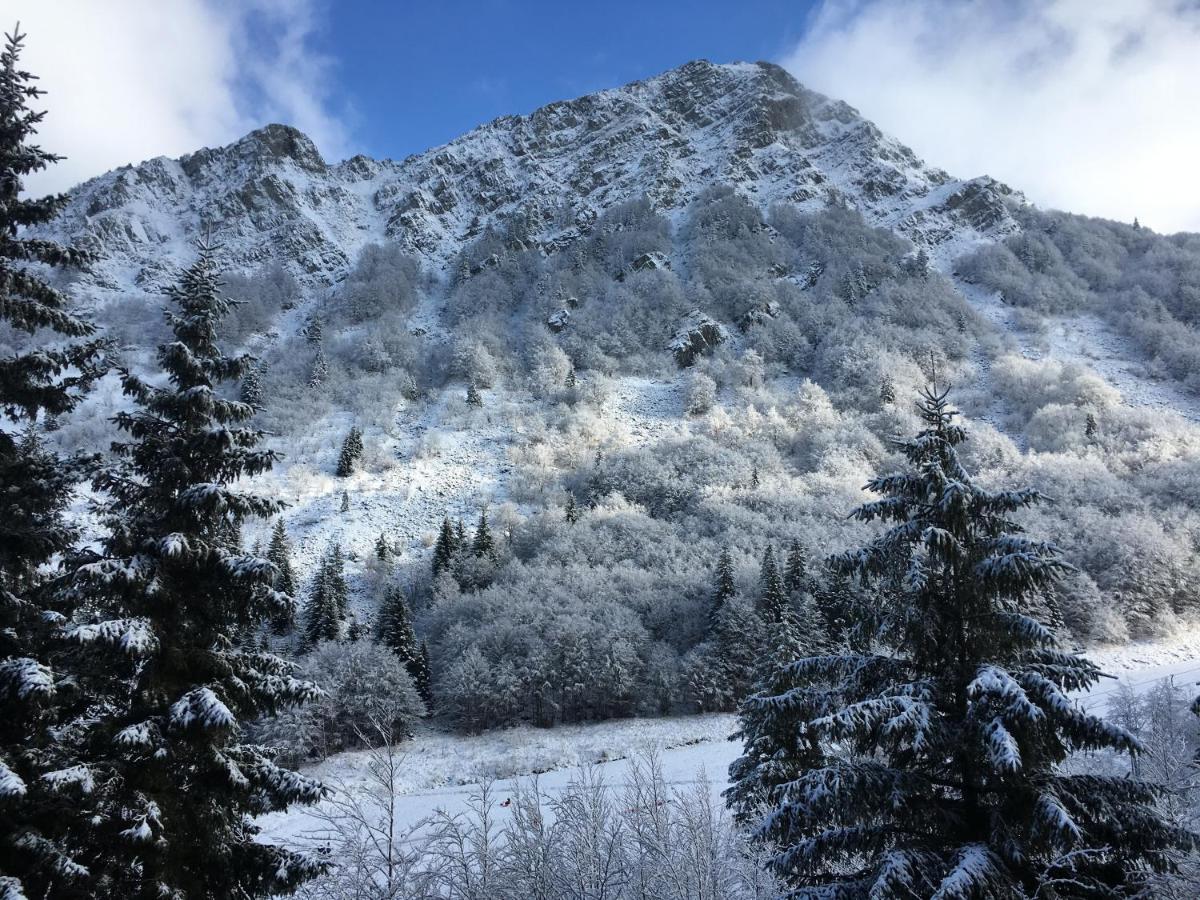 Val Di Luce - Delizioso Appartamento 6 Posti Letto - Accesso Diretto Alle Piste Da Sci Abetone Exterior foto